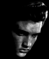 elvis_in_bw.gif (2726 bytes)